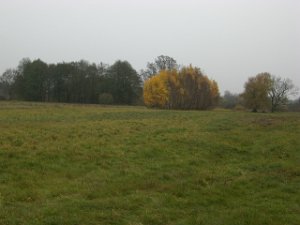 CTF-Seefeld 2008 142